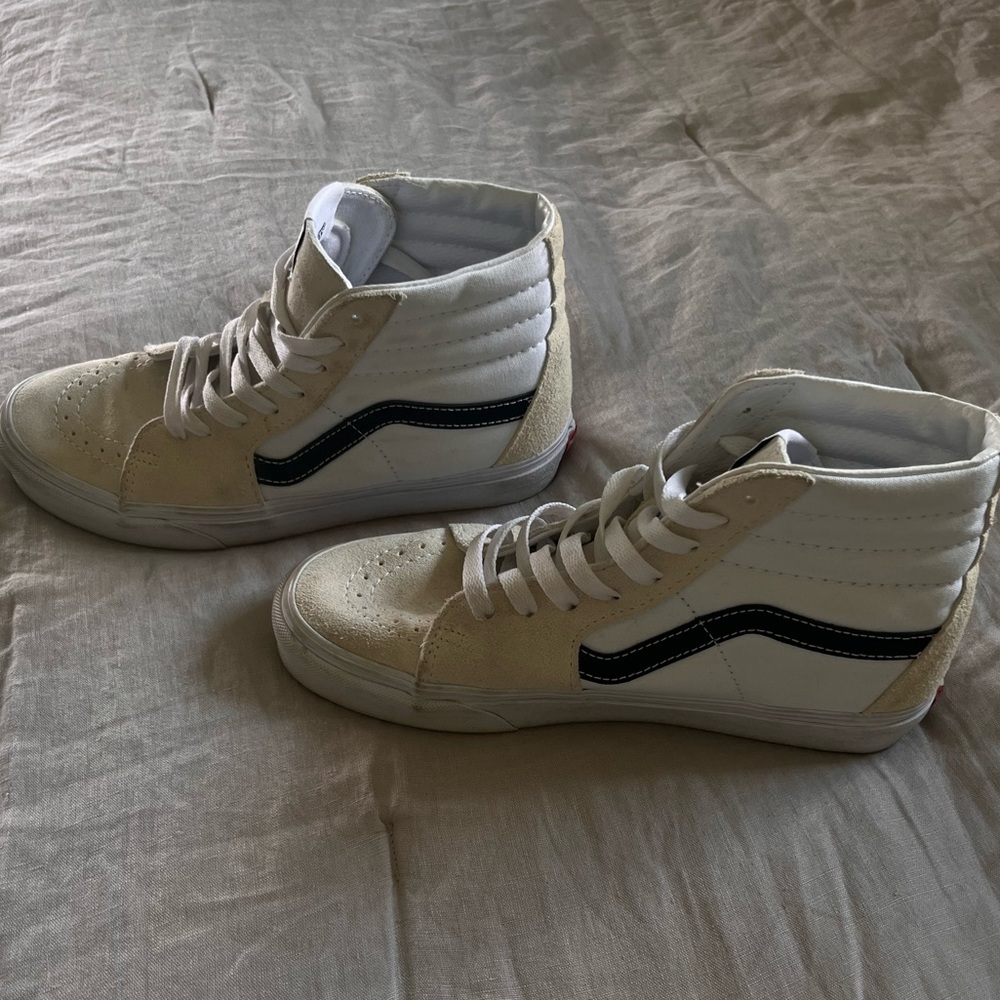 Vans Skater Hightop